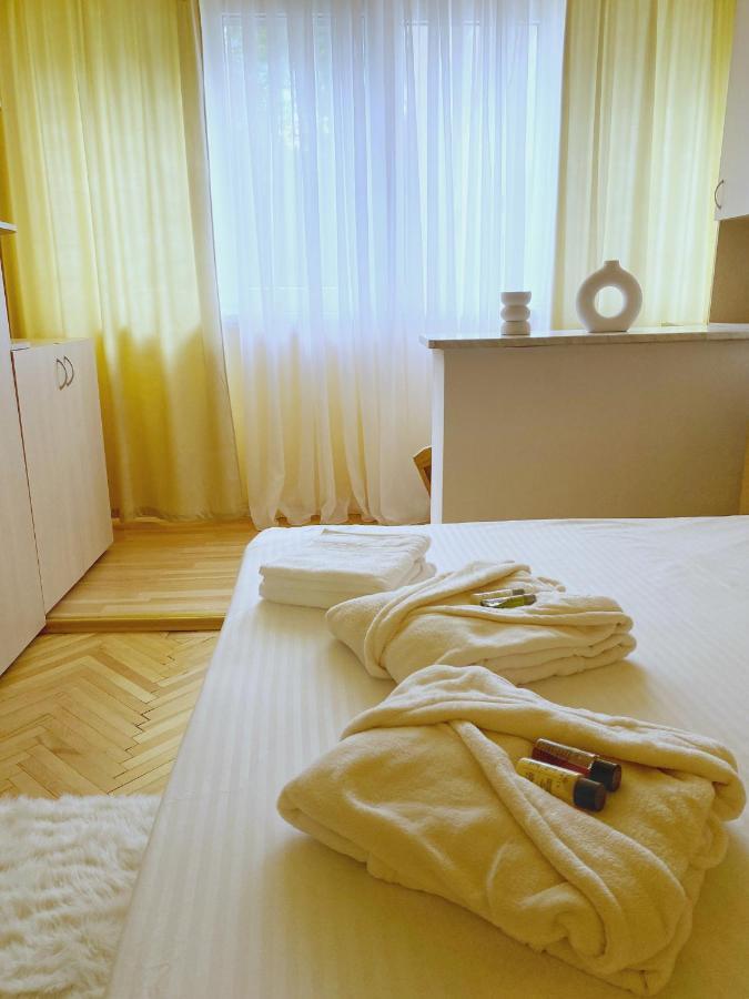 Timisoara Central Apartamentアパートメント エクステリア 写真
