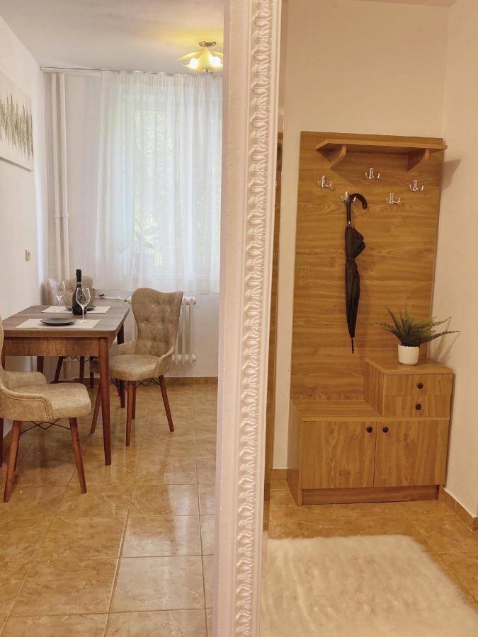 Timisoara Central Apartamentアパートメント エクステリア 写真