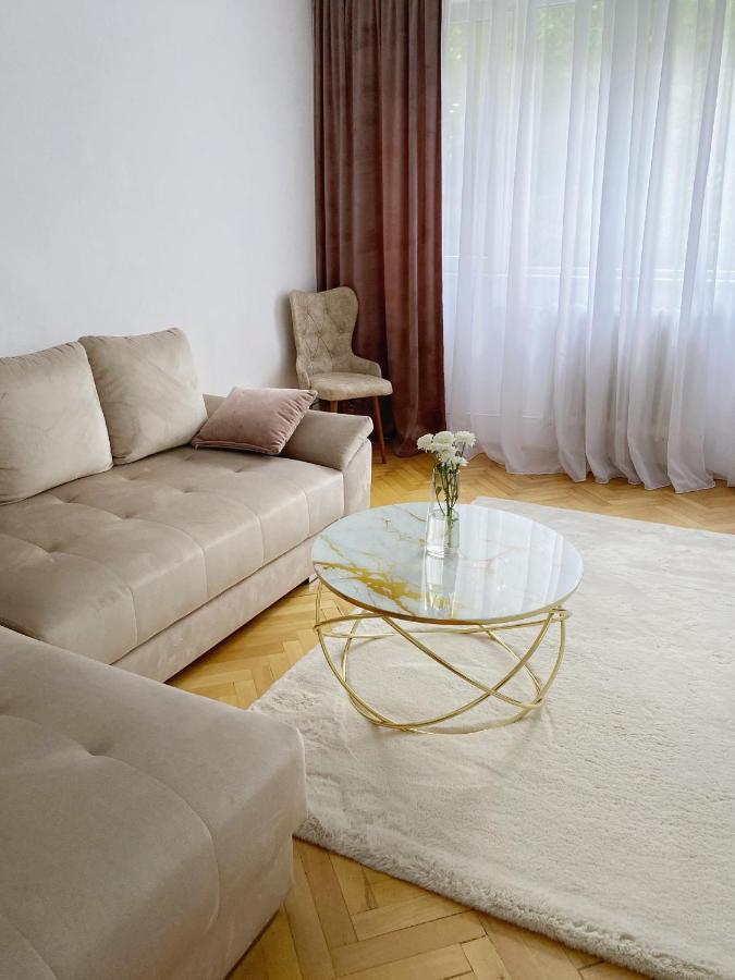 Timisoara Central Apartamentアパートメント エクステリア 写真