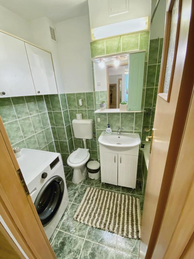 Timisoara Central Apartamentアパートメント エクステリア 写真