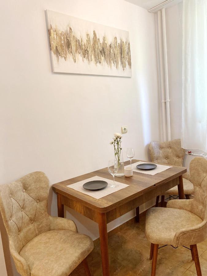 Timisoara Central Apartamentアパートメント エクステリア 写真