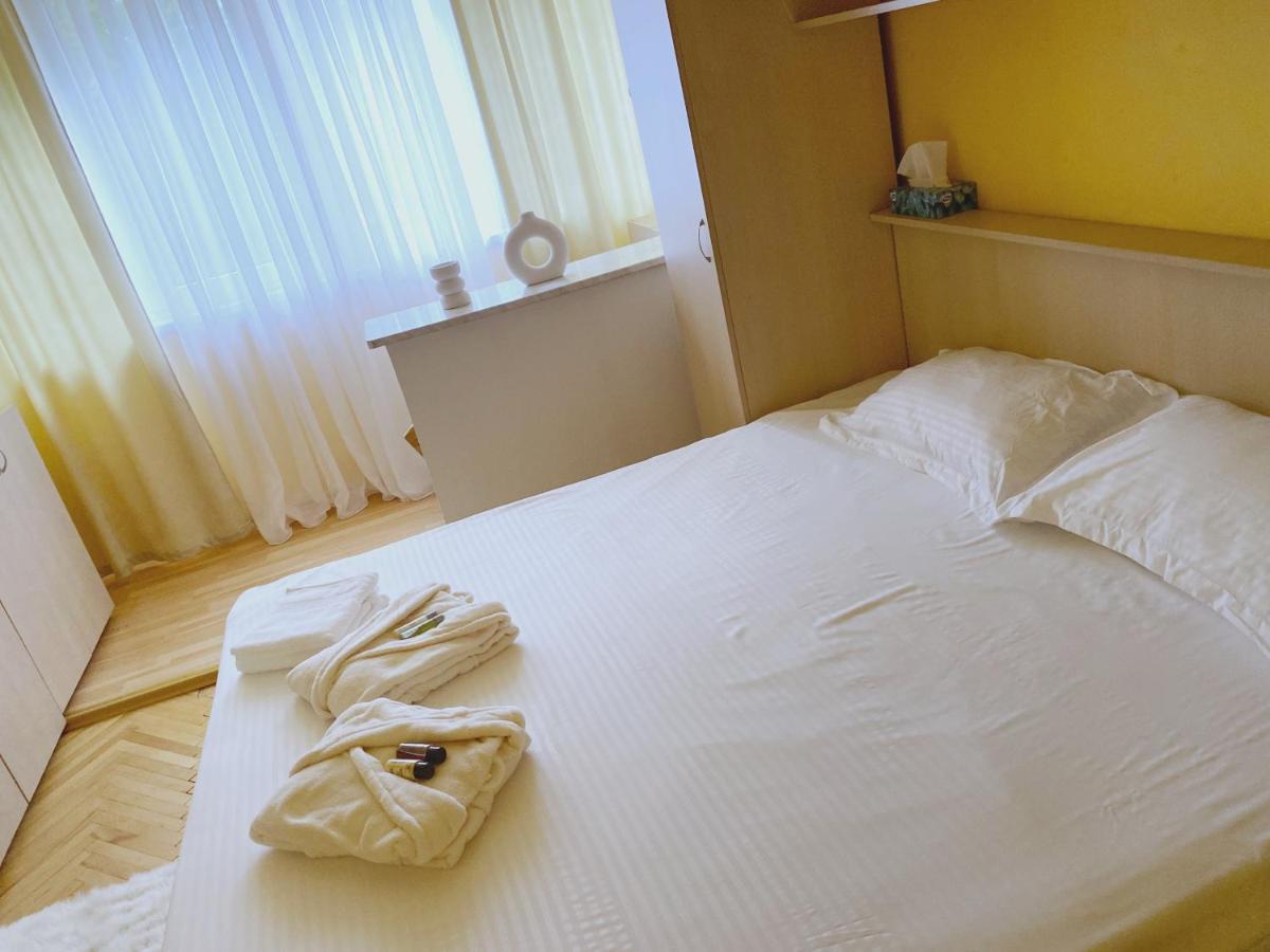 Timisoara Central Apartamentアパートメント エクステリア 写真